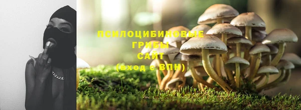 ГАЛЛЮЦИНОГЕННЫЕ ГРИБЫ Дмитров