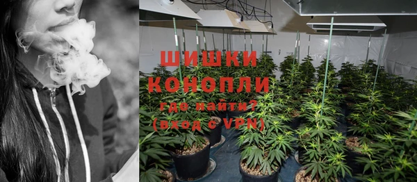 ГАЛЛЮЦИНОГЕННЫЕ ГРИБЫ Дмитров