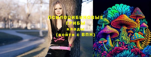 ГАЛЛЮЦИНОГЕННЫЕ ГРИБЫ Дмитров