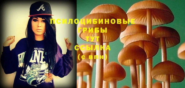 меф Гусь-Хрустальный