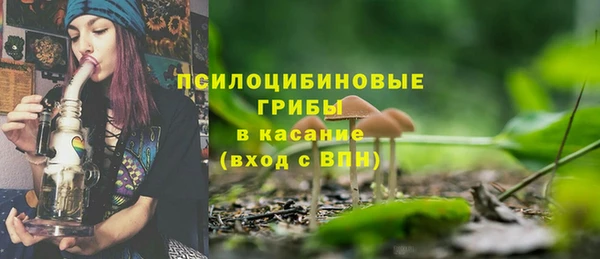 гидропоника Дмитриев